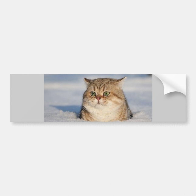 Autocollant De Voiture chats_et_neige7 (Devant)