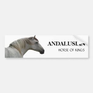 AUTOCOLLANT DE VOITURE CHEVAL ANDALOU 2
