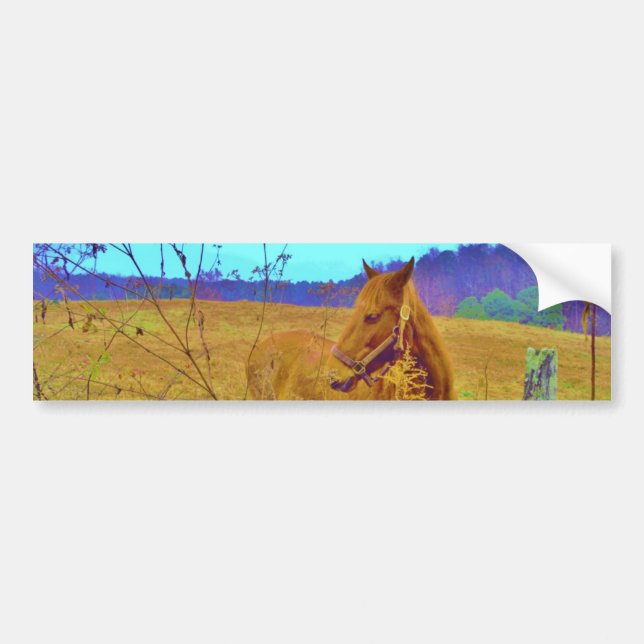 Autocollant De Voiture Cheval de couleur rétro (Devant)