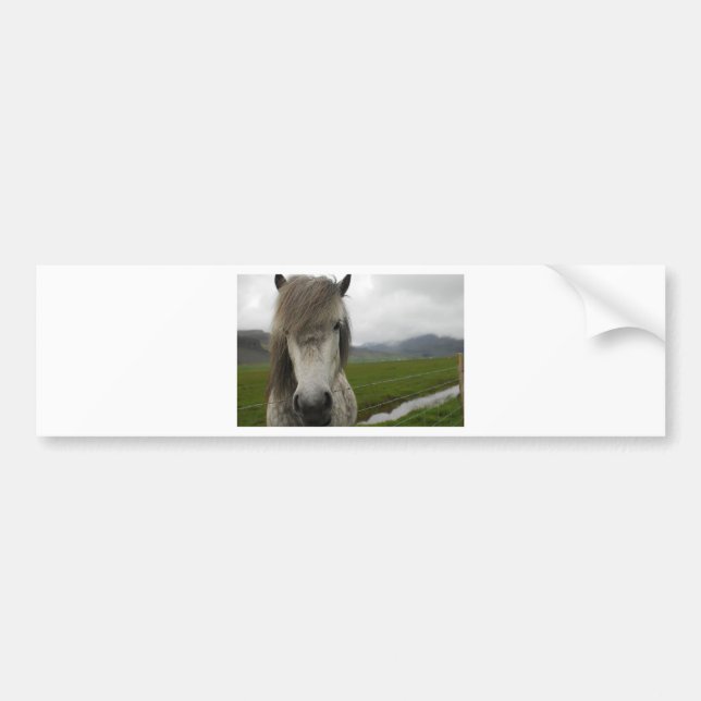 Autocollant De Voiture Cheval islandais (Devant)