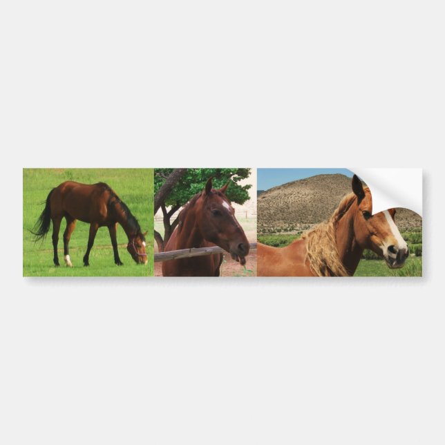 Autocollant De Voiture Chevaux (Devant)