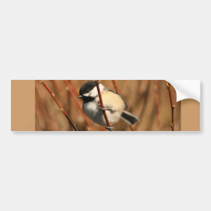 Autocollant De Voiture Chickadee couvert par noir