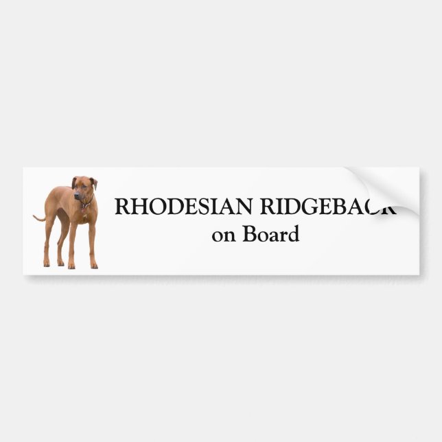 Autocollant De Voiture Chien de Rhodesian Ridgeback à bord d'autocollant (Devant)