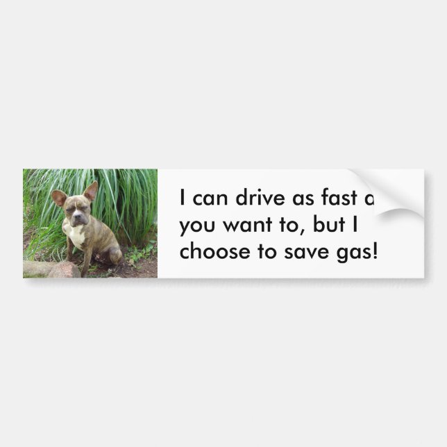 Autocollant De Voiture Chien grumpy Save gas Bumper Sticker (Devant)