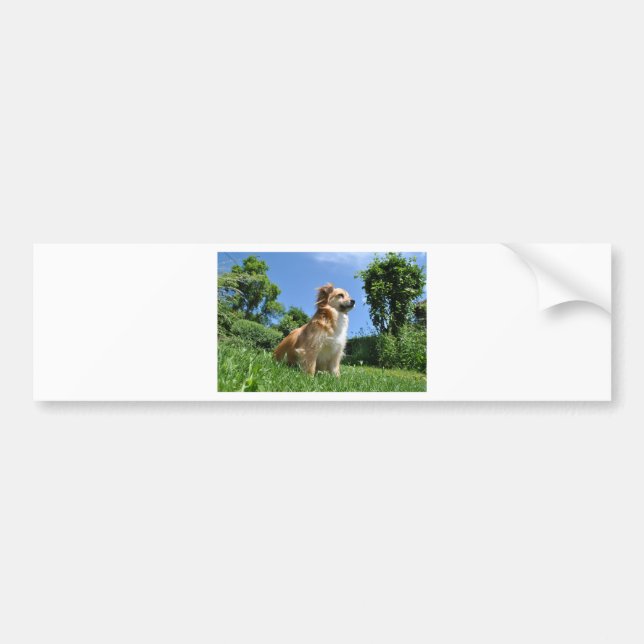 Autocollant De Voiture Chien mignon dans l'herbe (Devant)