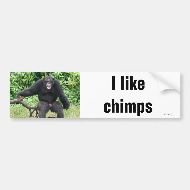 Autocollant De Voiture Chimpanzé en Afrique (Devant)