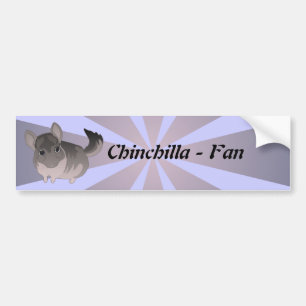 Autocollant De Voiture Chinchilla