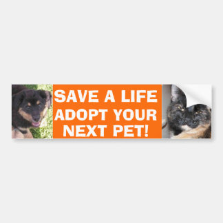 Autocollant De Voiture Chiot et adhésif pour pare-chocs de Kitty