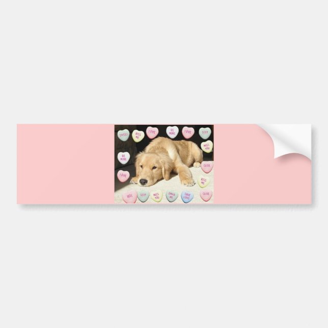 Autocollant De Voiture Chiot Valentine Golden Retriever (Devant)