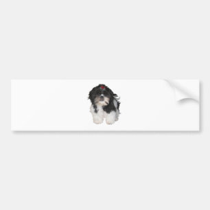 Autocollant De Voiture Chiots de Shitzu Shih Tzu