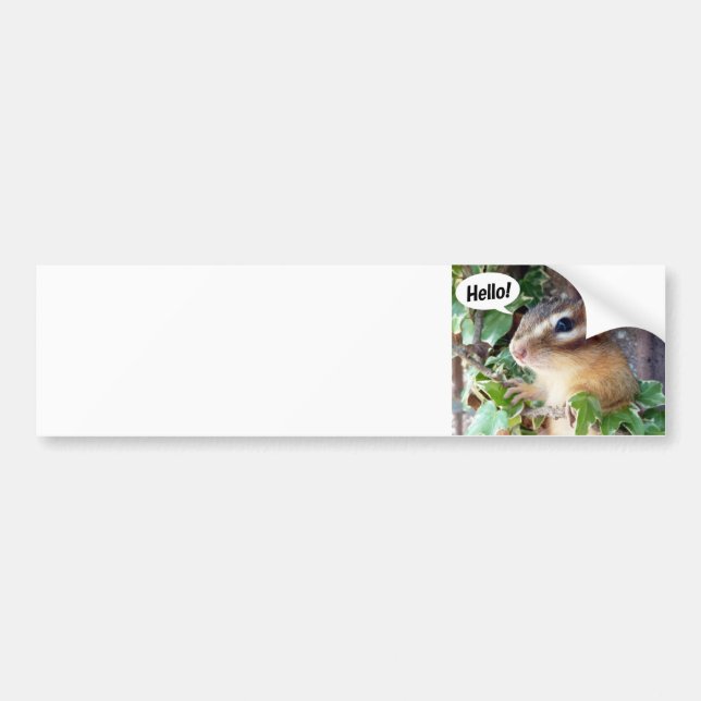 Autocollant De Voiture Chipmunk photo (20-4) (Devant)