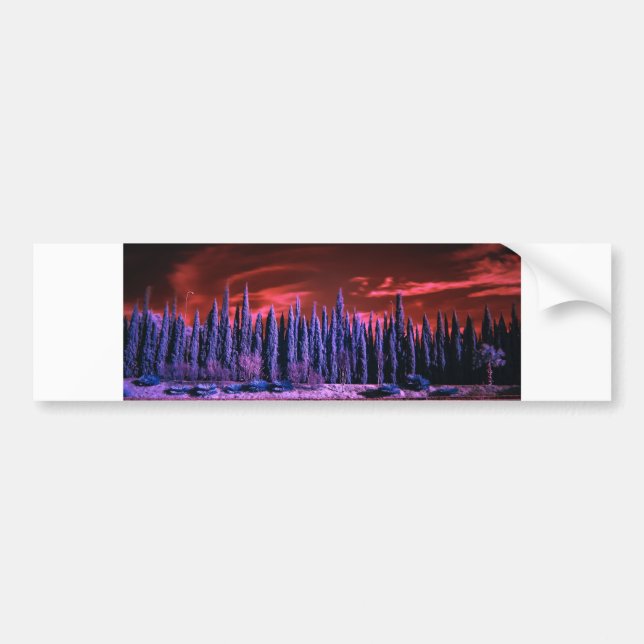 Autocollant De Voiture ciel d'hiver violet (Devant)