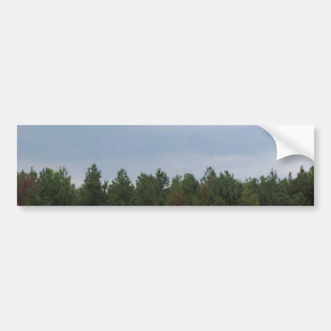 Autocollant De Voiture Ciel et nuages (Devant)