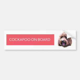 Autocollant De Voiture Cockapoo à bord d'adhésif pour pare-chocs
