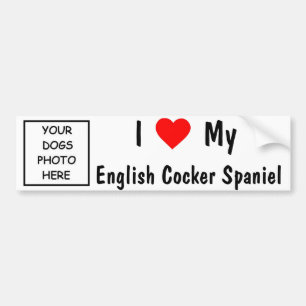 Autocollant De Voiture Cocker anglais