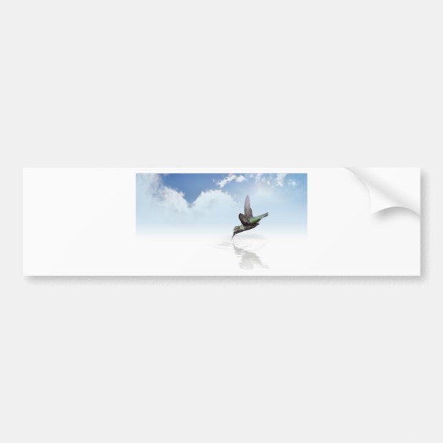 Autocollant De Voiture Colibri (Devant)