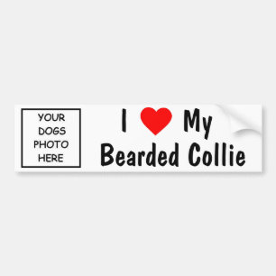 Autocollant De Voiture Colley barbu