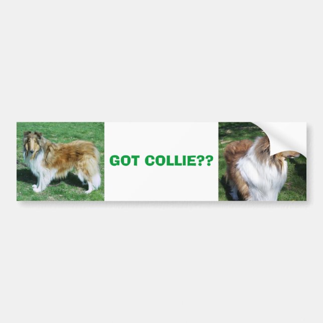 AUTOCOLLANT DE VOITURE COLLIE, COLLIE ? ? (Devant)