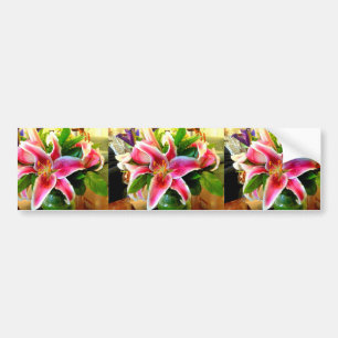 Autocollant De Voiture collier de pare-chocs stargazer rose
