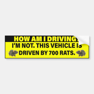 Autocollant De Voiture Comment Conduis-Je? 700 Rats au Volant 