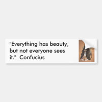 Confucius 1