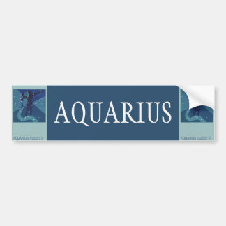 Autocollant De Voiture Constellation Aquarius, Astrologie Vintage Zodiaqu