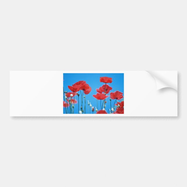 Autocollant De Voiture Coquelicots de Provence (Devant)