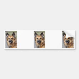 Autocollant De Voiture Créez votre propre photo d'animal familier