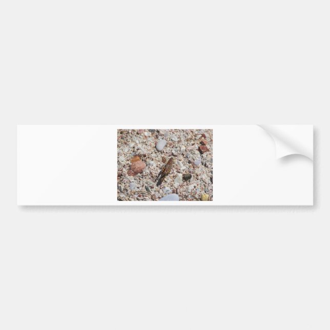 Autocollant De Voiture Cricket de Jiminy (Devant)