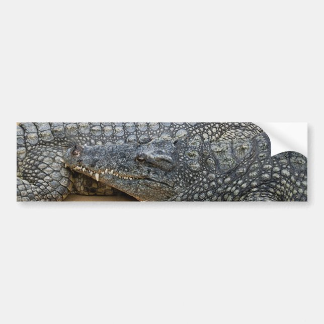Autocollant De Voiture Crocodile (Devant)
