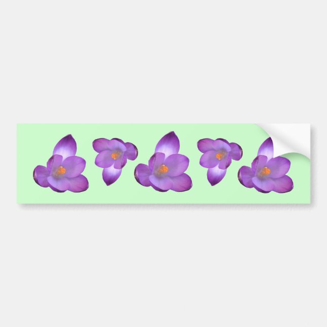 Autocollant De Voiture Crocus 1, Crocus 1, Crocus 1, Crocus 1, Crocus 1,  (Devant)