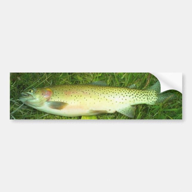 Autocollant De Voiture "cut throat trout" trout, fly, fishing (Devant)