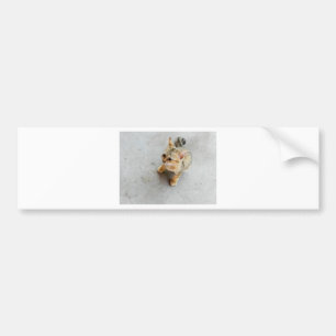 Autocollant De Voiture Cute chaton chaton sauvage