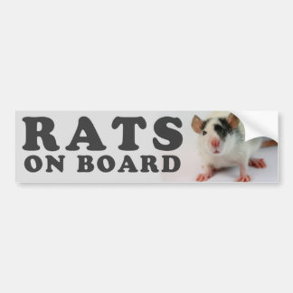 Autocollant De Voiture (Cute) Rats on board