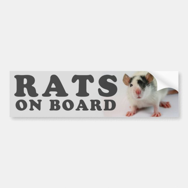 Autocollant De Voiture (Cute) Rats on board (Devant)