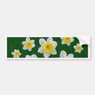 Autocollant De Voiture Daffodiques de printemps