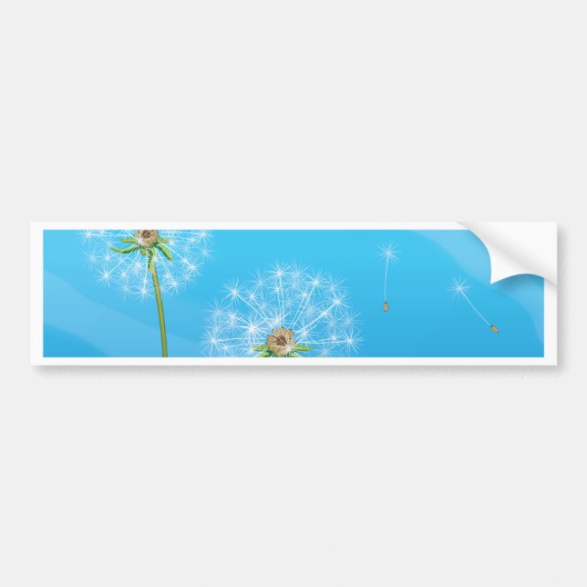 Autocollant De Voiture Dandelion (Devant)
