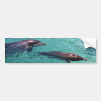 Autocollant De Voiture Dauphins