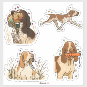 Autocollant de voiture de chasse Bracco Italiano