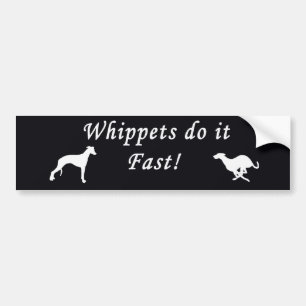 Autocollant De Voiture Des whippets il jeûnent