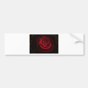 Autocollant De Voiture Destin rose d'amour de paix de fleur de motif de