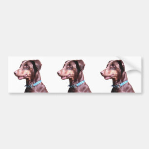 Autocollant De Voiture Doberman Pinscher Rouge