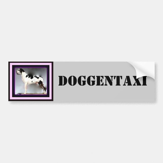 Autocollant De Voiture Dogge allemand, Great Dane, Harlekin, Taxi, autoco (Devant)
