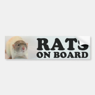 Autocollant De Voiture (Dove) Rats on board