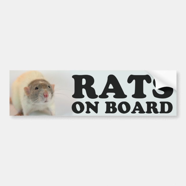 Autocollant De Voiture (Dove) Rats on board (Devant)