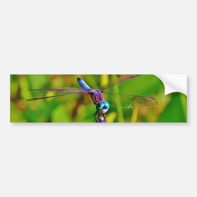 Autocollant De Voiture Dragonfly (Devant)
