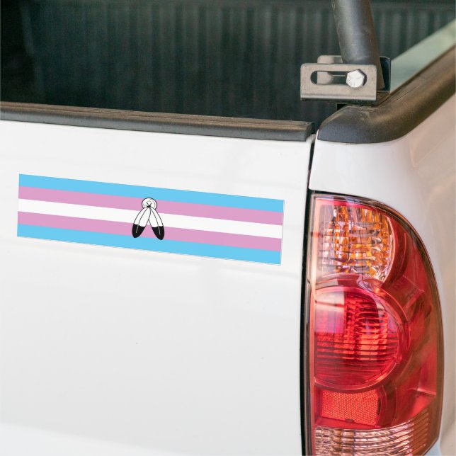 Autocollant De Voiture Drapeau de fierté trans bispirituel (Sur camion)