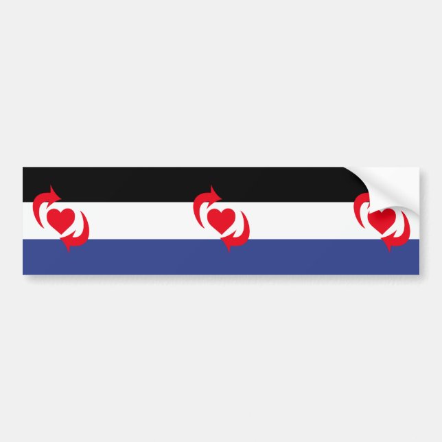 Autocollant De Voiture Drapeau de la fierté Switch (Devant)