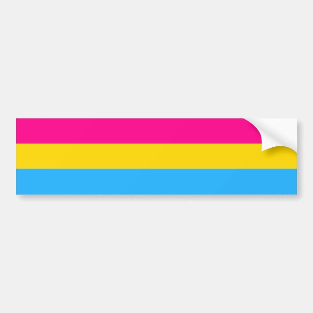 AUTOCOLLANT DE VOITURE "DRAPEAU PANSEXUAL DE FIERTÉ " (Devant)