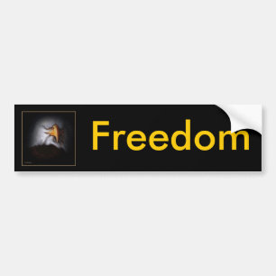 Autocollant De Voiture Droit à la liberté